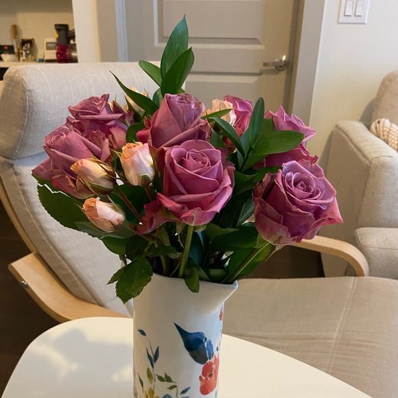 Meet your Posher, Mandy - Picture 1 of 1